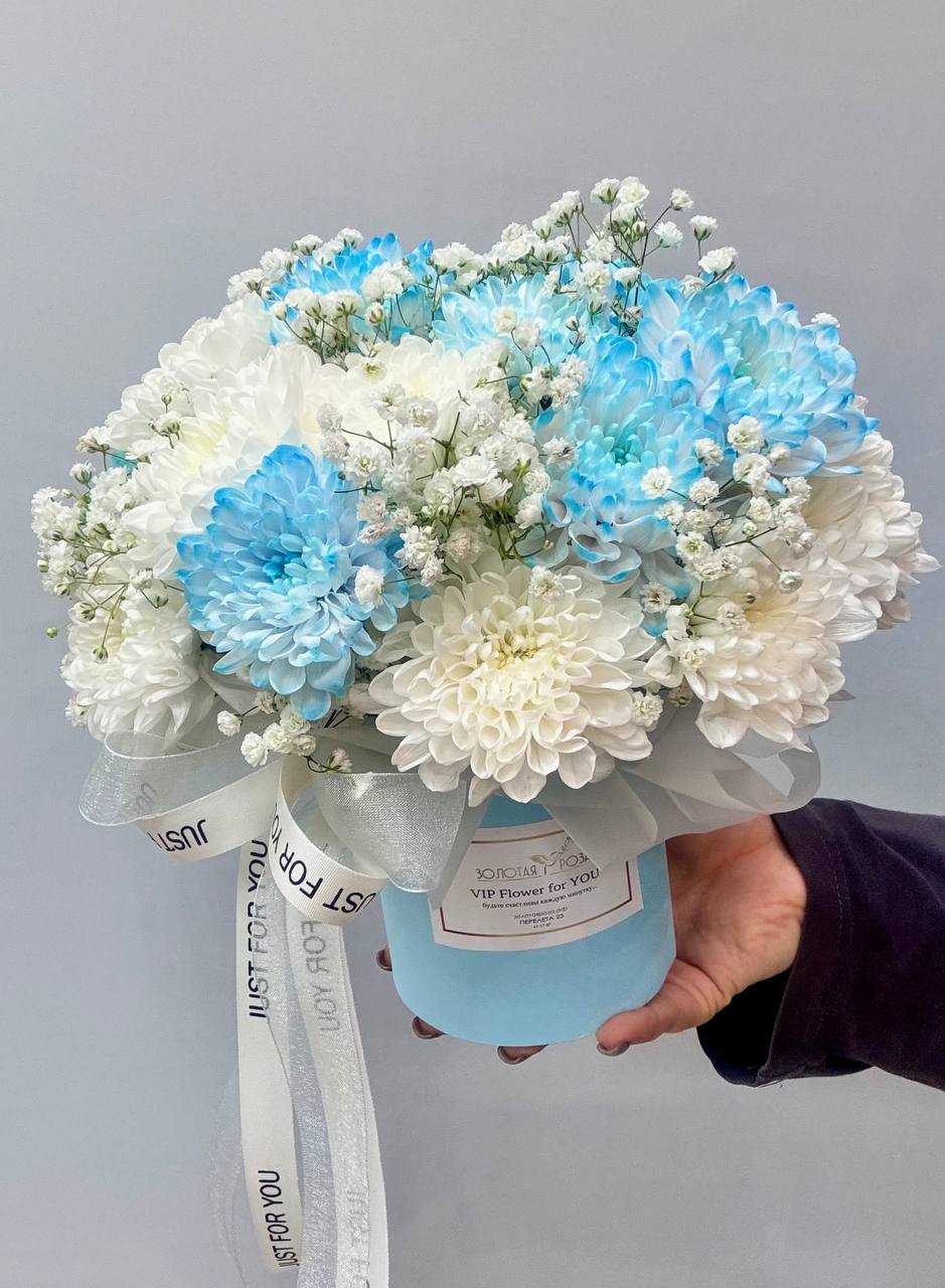 




КОМПОЗИЦИИ 